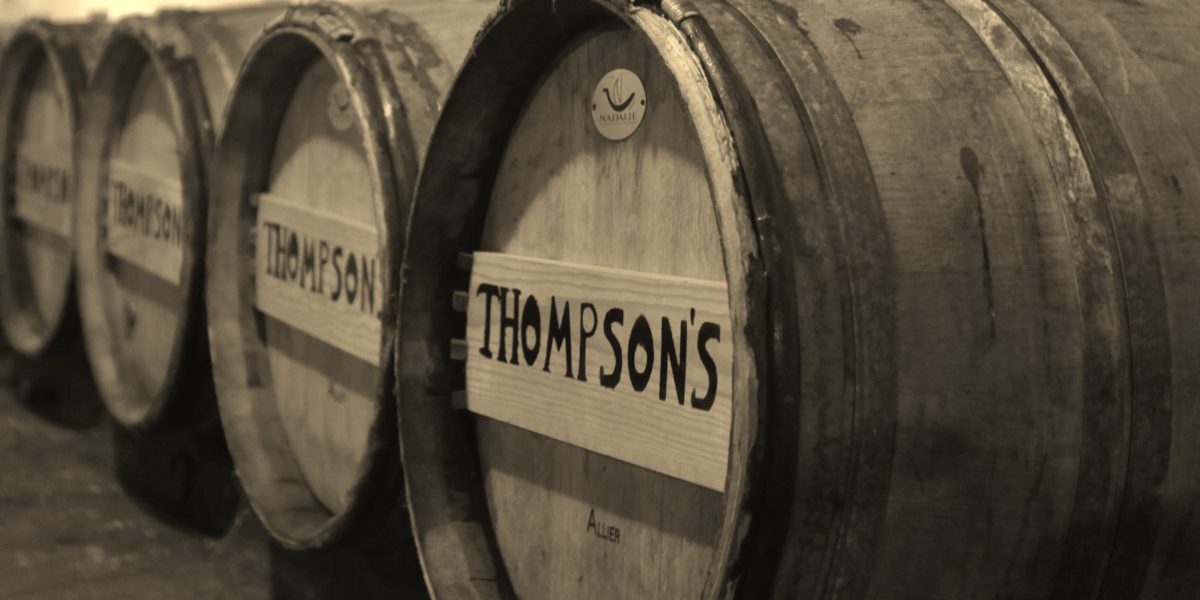 sauternes-thompsons-cat sauternes-thompsons-cat